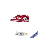 NK SB Dunk low