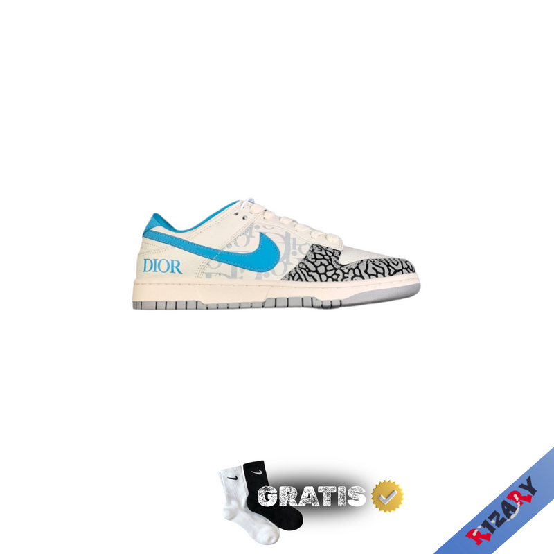 NK SB Dunk low