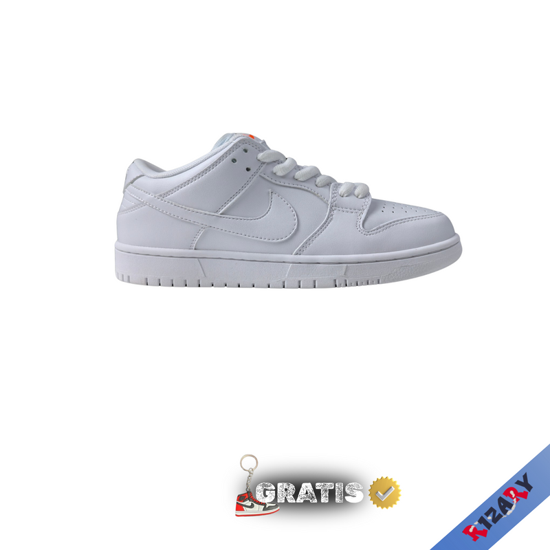 NK SB DUNK LOW